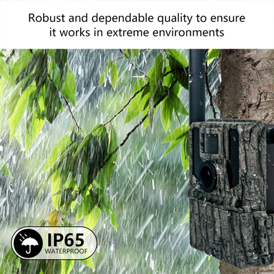 Keepguard 4G Cellular Wildlife Forest Trail Kamera dengan remote control APP 36MP 2K/30fps Wild Game