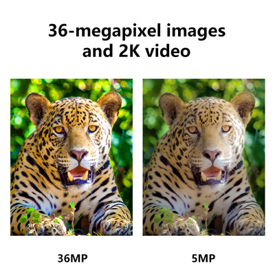 Kamera Pelacak Foto dan Video 4G LTE Antena Ganda 2K/30fps Canggih Baru, Jarak Jauh, dan Siaga Lama