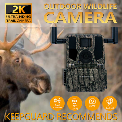 4G Seluler Hutan Hutan Trail Kamera dengan remote control APP 0.25s Memicu Kecepatan Wild Game Kamera
