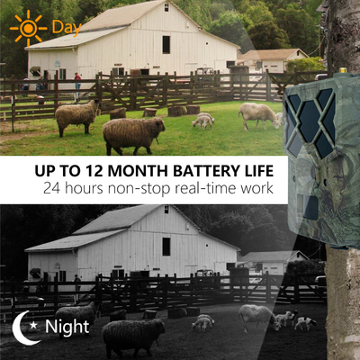 Kamera satwa liar KW886 hemat biaya dengan kontrol APP 4G SIM card 24MP 1080P pada 30fps waterproof IP67 night vision game camera