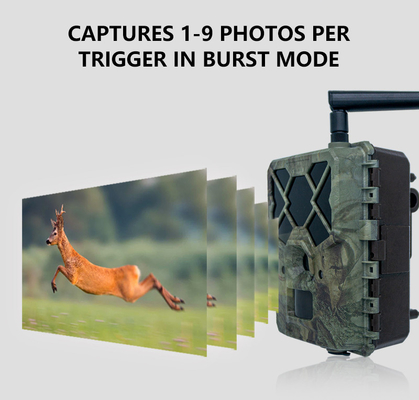 Kamera satwa liar KW886 hemat biaya dengan kontrol APP 4G SIM card 24MP 1080P pada 30fps waterproof IP67 night vision game camera