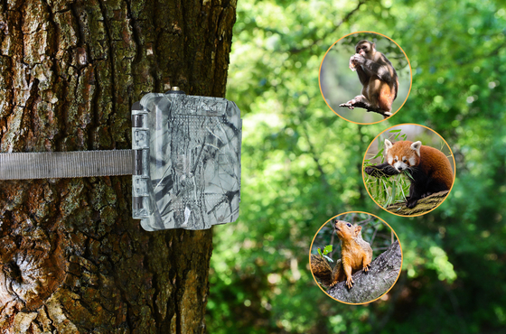 KG45 TRAMP ALARM TRAIL CAMERA untuk penggemar berburu