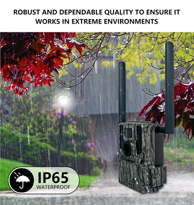 4G Wireless Trail Camera Hidden Camouflage KW897 dengan Dual Antenna Night Vision 36MP 2K Video untuk Berburu Rusa