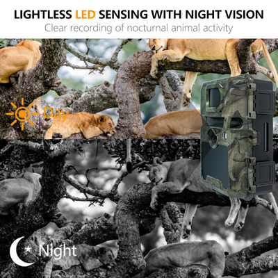 KW571 Factory OEM ODM Mini Wildlife Scouting Timelapse Trail Camera IP67 Sensor CMOS Tanpa Sinar dan SD Memory Night Vision