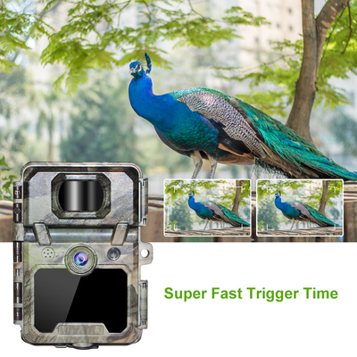 KW571 Factory OEM ODM Mini Wildlife Scouting Timelapse Trail Camera IP67 Sensor CMOS Tanpa Sinar dan SD Memory Night Vision