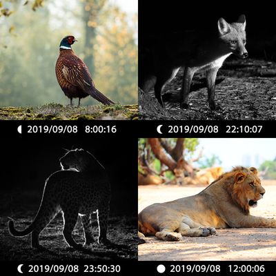 KW696 kamera berburu di luar ruangan lensa ganda 30MP tanpa cahaya jejak kamera 1080p penglihatan malam 512G untuk