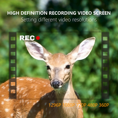 KW865 WIFI Hidden Camera Outdoor Wireless Hunting Camera IP67 20MP Trail Camera yang Mengirim Gambar ke Anda