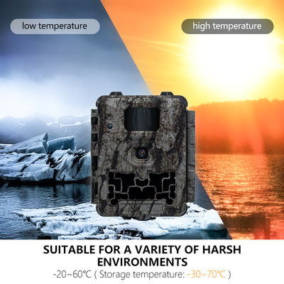 Kamera Perburuan Profesional dengan Auto IR-Cut-Remove dan 450mm Micro Lens Dukungan untuk gambar yang jelas dan rinci dari satwa liar