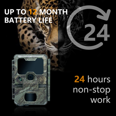 KW788 Trail Kamera kamera berburu Waterproof 0.1s kecepatan pemicu 4K 32MP visi malam waterproof kamera inframerah