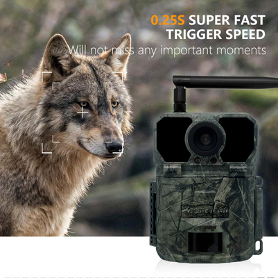 KW865 WIFI Hidden Camera Outdoor Wireless Hunting Camera IP67 20MP Trail Camera yang Mengirim Gambar ke Anda