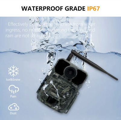 KW865 WIFI Hidden Camera Outdoor Wireless Hunting Camera IP67 20MP Trail Camera yang Mengirim Gambar ke Anda
