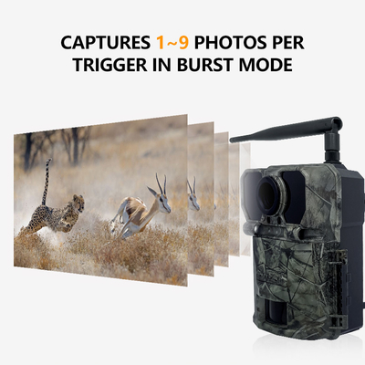 KW865 WIFI Hidden Camera Outdoor Wireless Hunting Camera IP67 20MP Trail Camera yang Mengirim Gambar ke Anda