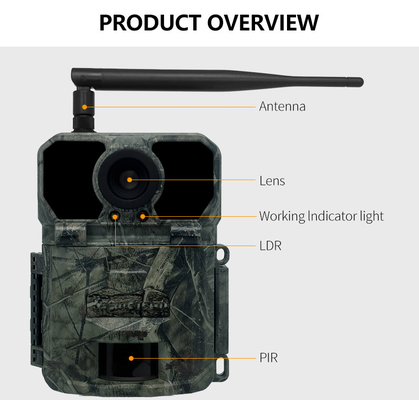 KW865 WIFI Hidden Camera Outdoor Wireless Hunting Camera IP67 20MP Trail Camera yang Mengirim Gambar ke Anda