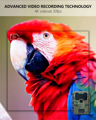 WIFI trail Camera KW866 waterproof IP67 OEM/ODM hingga 512GB Storage SD Memory Card 32MP 4K wildlife camera