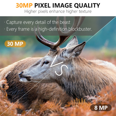 Kamera berburu di luar KW696 dual-lens 30MP waterproof IP67 1080p night vision hingga 512GB storage no-glow trail camera