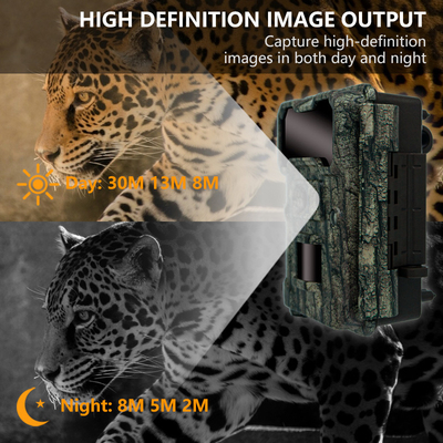 Kamera berburu di luar KW696 dual-lens 30MP waterproof IP67 1080p night vision hingga 512GB storage no-glow trail camera