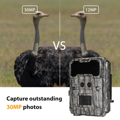 Kamera berburu di luar KW696 dual-lens 30MP waterproof IP67 1080p night vision hingga 512GB storage no-glow trail camera