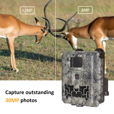Trail Camera KW561 30MP 0.25s pemicu Kecepatan Resolusi Video 4K Waterproof IP67 hingga 512GB penyimpanan kamera diskon