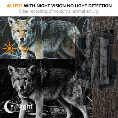 Trail Camera KW561 30MP 0.25s pemicu Kecepatan Resolusi Video 4K Waterproof IP67 hingga 512GB penyimpanan kamera diskon