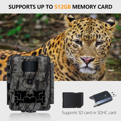 Trail Camera KW561 30MP 0.25s pemicu Kecepatan Resolusi Video 4K Waterproof IP67 hingga 512GB penyimpanan kamera diskon