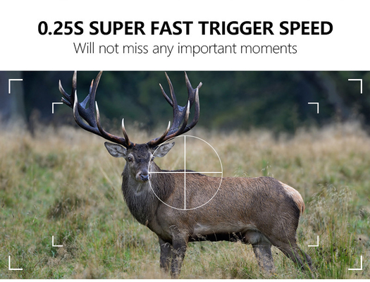 WIFI trail Camera KW866 waterproof IP67 OEM/ODM hingga 512GB Storage SD Memory Card 32MP 4K wildlife camera