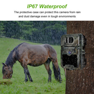 Kamera Berburu IP67 Tanpa Cahaya dengan Dukungan Lensa Mikro 450mm dan Kamera Berburu HD Interval 1s-60m