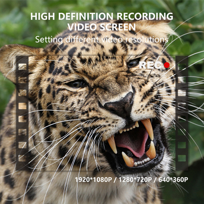 Kamera berburu di luar KW696 dual-lens 30MP waterproof IP67 1080p night vision hingga 512GB storage no-glow trail camera