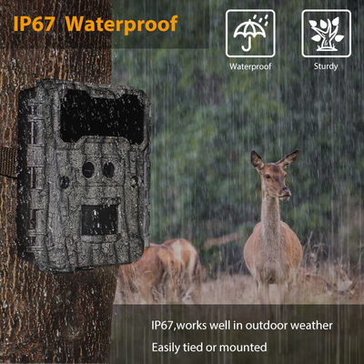 Kamera berburu di luar KW696 dual-lens 30MP waterproof IP67 1080p night vision hingga 512GB storage no-glow trail camera