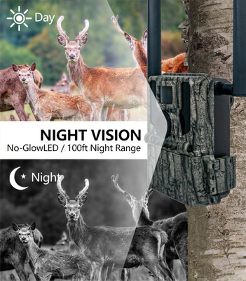 2024 Terbaru High-End 4G Wireless Hunting Camera KW897 dengan Dual Antenna 100 kaki Night Range 36MP 2K Video pada 30fps untuk Margasatwa