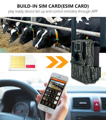 Kamera Perburuan & Trail Panel Surya 4G Kamera Wireless KW897 dengan Antenna Dual 100ft Jangkauan Malam 36MP 2K Video pada 30fps