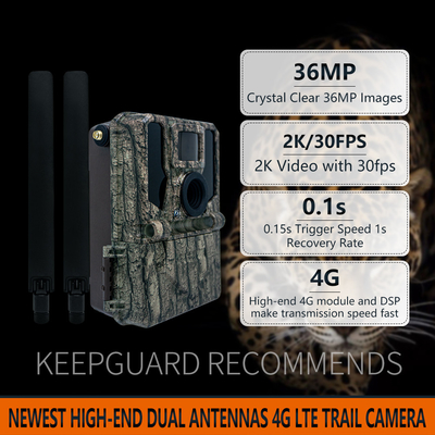High-End 4G kamera jejak nirkabel 2024 KW897 terbaru dengan antena ganda 36MP 2K 0.1s kecepatan pemicu dengan penglihatan malam untuk untuk penelitian satwa liar