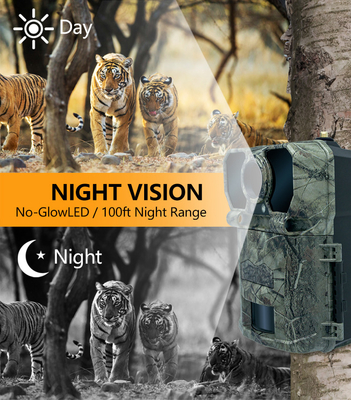 Kamera berburu nirkabel 4G KW896 dengan antena 100 kaki jarak malam penglihatan malam 32MP 2K 0.15s kecepatan pemicu untuk berburu rusa
