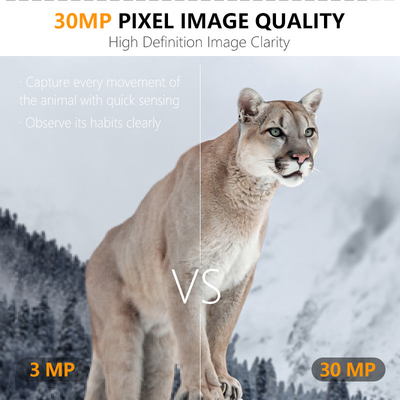 Kamera jejak berburu 4G KW895 dengan APP 2K FHD Video gambar 30MP tahan air IP67 hingga penyimpanan 512GB untuk penelitian satwa liar