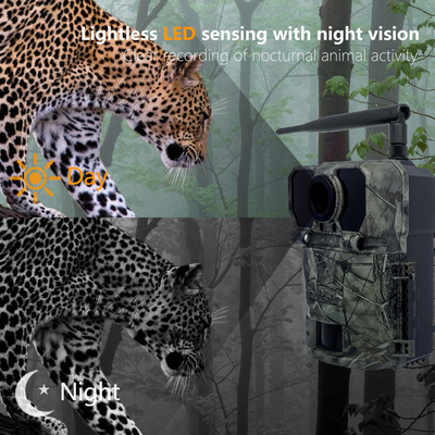 Kamera jejak berburu 4G KW895 dengan APP 2K FHD Video gambar 30MP tahan air IP67 hingga penyimpanan 512GB untuk penelitian satwa liar