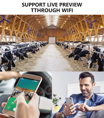 Kamera Trail KW866 dengan koneksi WIFI 0.25s kecepatan pemicu tahan air IP67 hingga 512GB penyimpanan 32MP 4K pada 30fps untuk shot buck