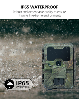 Kamera Trail KW866 dengan koneksi WIFI 0.25s kecepatan pemicu tahan air IP67 hingga 512GB penyimpanan 32MP 4K pada 30fps untuk shot buck
