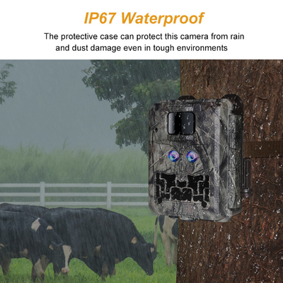 Kamera tersembunyi dengan lensa ganda KW591 waterproof IP67 30MP 1080P 0.4s Trigger speed night vision hingga 512GB untuk penelitian satwa liar
