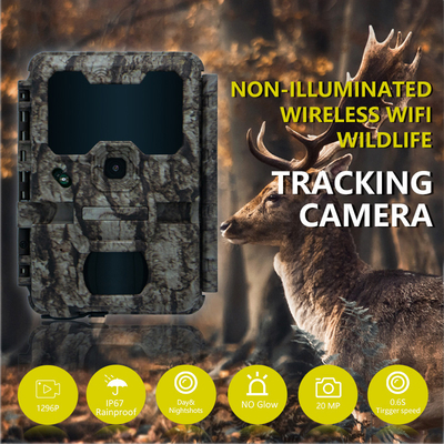 Kamera berburu dengan koneksi WIFI KW865 tahan air IP67 IR flash rentang hingga 82 kaki penglihatan malam 20MP/1080P untuk menonton satwa liar