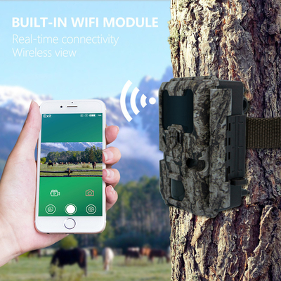 Kamera berburu dengan koneksi WIFI KW865 tahan air IP67 IR flash rentang hingga 82 kaki penglihatan malam 20MP/1080P untuk menonton satwa liar