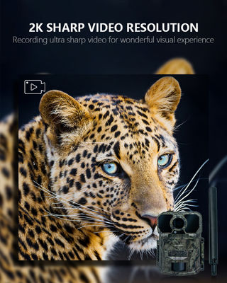 IP65 Waterproof 4G Trail Kamera