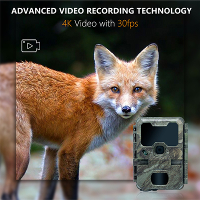 Trail Camera With Small Size KW788 0.1s Respon 32MP gambar tajam 4K Video Waterproof IP67 hingga 512GB untuk menonton satwa liar