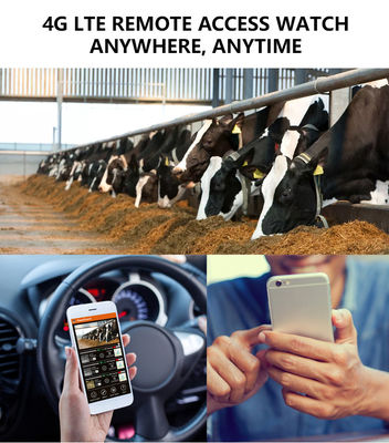 Rasakan Performa Tak Tertandingi dengan Kamera Jejak 4G Solusi Sempurna untuk Pemantauan Satwa Liar