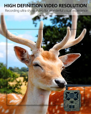 Game&trail Camera 4G KW886 dengan Antenna Kamera Perburuan yang hemat biaya 24MP 1080P Night Vision 0.1s Response Time Game Camera