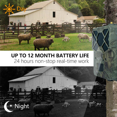 Rasakan Performa Tak Tertandingi dengan Kamera Jejak 4G Solusi Sempurna untuk Pemantauan Satwa Liar