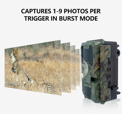 WIFI trail Camera KW866 waterproof IP67 OEM/ODM hingga 512GB Storage SD Memory Card 32MP 4K wildlife camera
