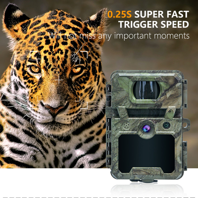 Kamera Pramuka Margasatwa Wireless Mini dengan Kamuflase 30MP IP66 Waterproof dan Fungsi PIR untuk Perburuan dan Keamanan