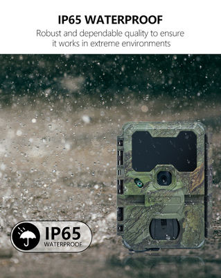 Kamera berburu WIFI terbaru KW866 dengan waterproof IP67 512GB Storage 32MP 4K video 0.25 kecepatan pemicu untuk berburu rusa