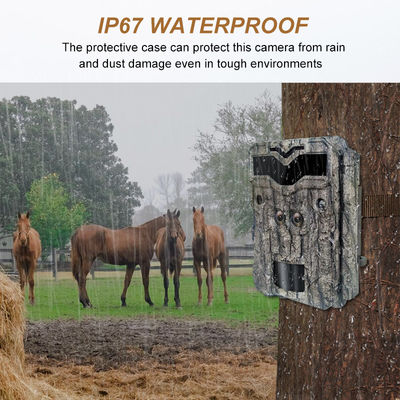 Kamera Perburuan HD Keepguard Dual-Lens 32MP No-Glow LED Trail Camera 1080P Night Vision Kamera Game Perburuan untuk Margasatwa