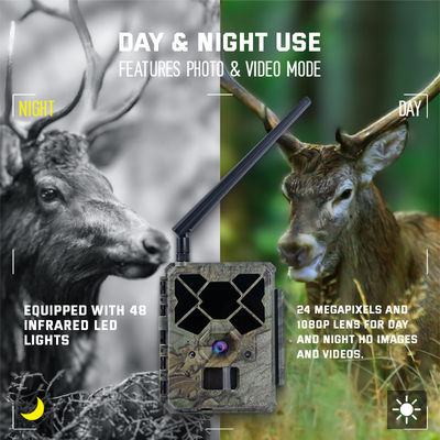 Kamera Berburu 4G yang Dikendalikan Dari Jauh KW886 dengan Kemampuan Video 1080p dan Jangkauan Malam 120ft