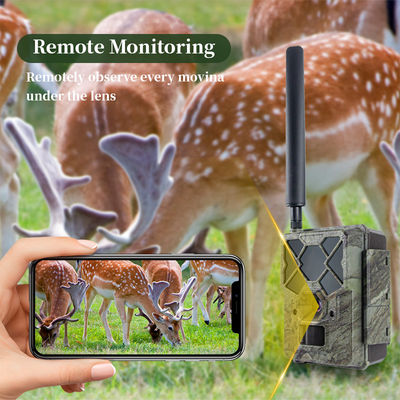 Kamera Berburu 4G yang Dikendalikan Dari Jauh KW886 dengan Kemampuan Video 1080p dan Jangkauan Malam 120ft